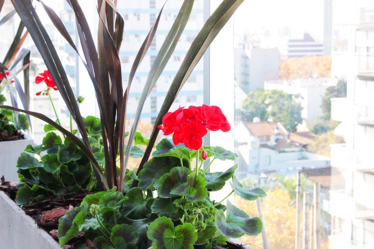Hotel Boutique Devoto Buenos Aires Exteriör bild